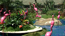 Flaringo Toss Veto Competition Big Brother 5